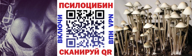 Псилоцибиновые грибы Psilocybine cubensis  kraken маркетплейс  Байкальск 